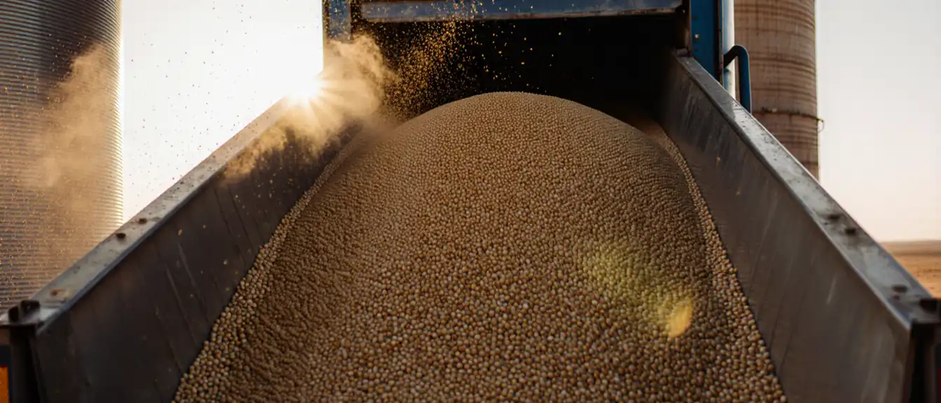 Рекордные показатели экспорта сельскохозяйственной продукции из России в Узбекистан за восемь месяцев текущего года