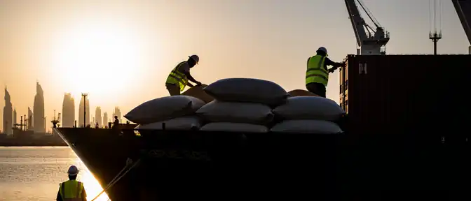 Продовольственный прорыв и инвестиционный бум: как Россия укрепляет союз с Саудовской Аравией