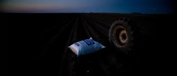 Падение котировок производителей удобрений в Северной Америке вызвано планами Дональда Трампа по возобновлению закупок калия из Белоруссии