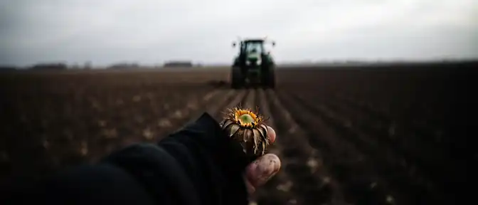 Поиск альтернативных источников финансирования аграрного сектора Украины после отказа Еврокомиссии в выделении средств
