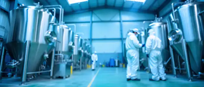 Тюменская область делает ставку на высокотехнологичный экспорт: в Ишимском округе запускают производство горохового протеина